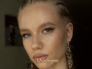 Udelegeer