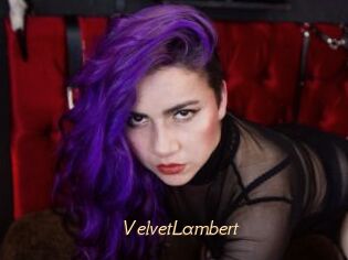VelvetLambert