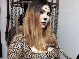 VenusDomme