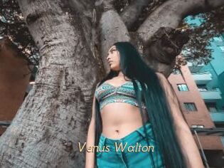 Venus_Walton