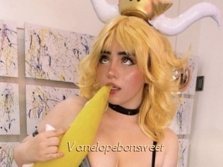 Vanelopebonsweet