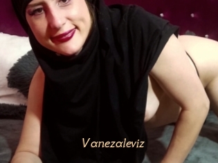 Vanezaleviz