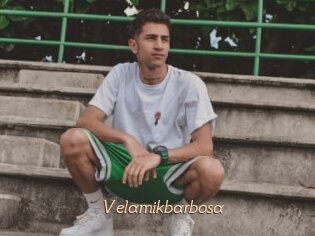 Velamikbarbosa