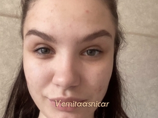 Vernitaasnicar