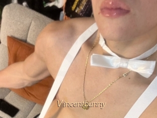 Vincentbunny