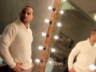 Vingoddnes