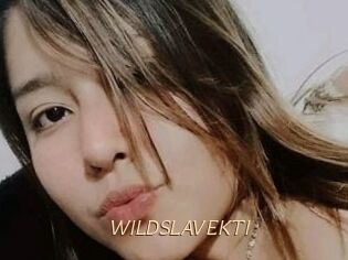 WILDSLAVEKTI
