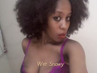 Wet_Snowy