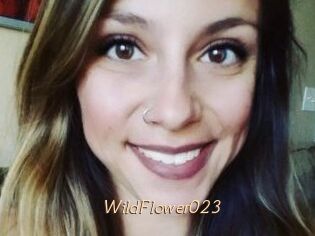 WildFlower023