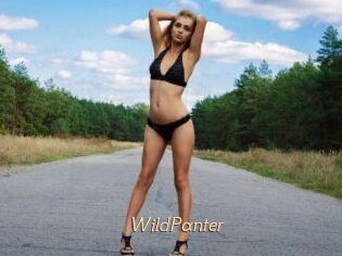 WildPanter