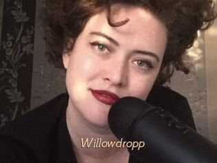 Willowdropp
