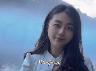 Wenjingg