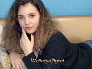 Whitneydiligent
