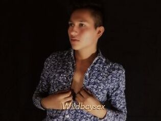 Wildboysex