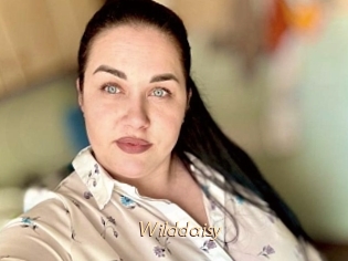 Wilddaisy