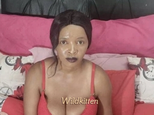 Wildkitten