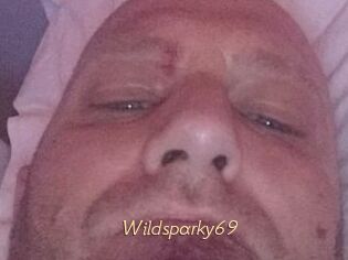 Wildsparky69