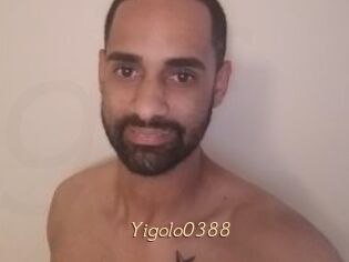 Yigolo0388