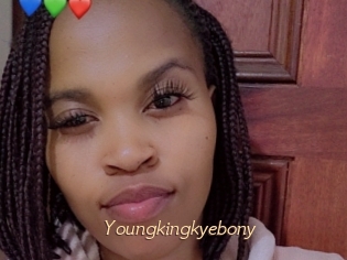 Youngkingkyebony