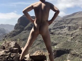 Zebrito