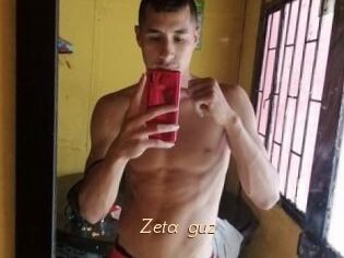 Zeta_guz