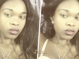 Zinzixx